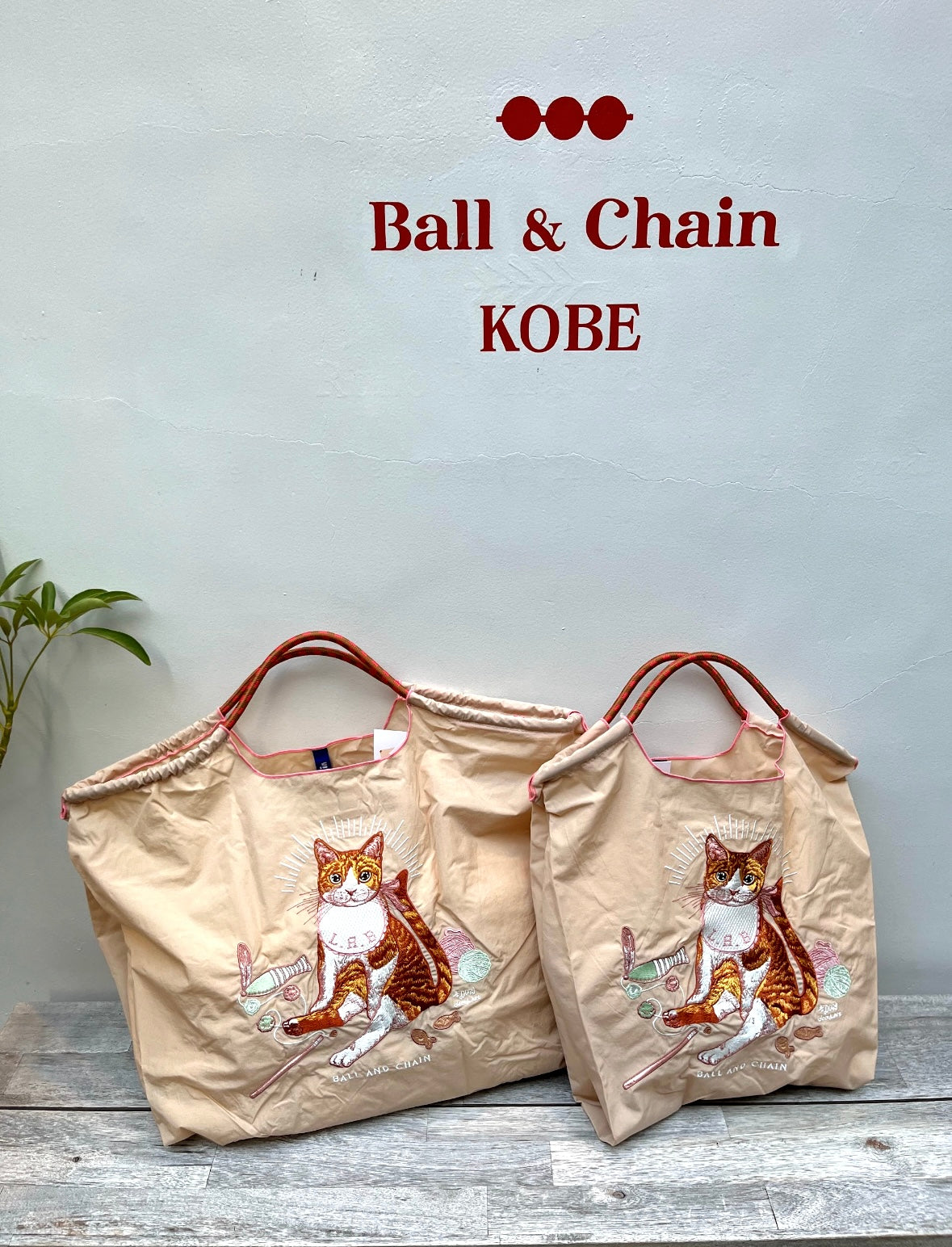 D.BABY CAT(ベイビーキャット）L#21 S/BEIGE-313115