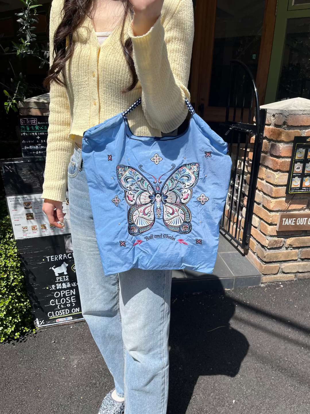 Papillon(蝶）M#74 Z/BLUE-301080