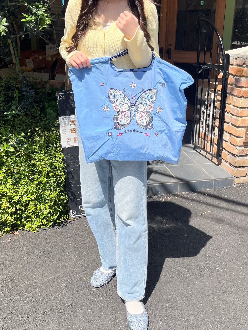 Papillon(蝶）L#74 Z/BLUE-301180